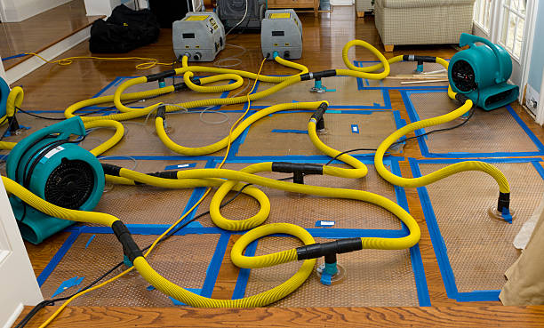 Professional Basement Flood Cleanup technician working in Harbor City, CA
